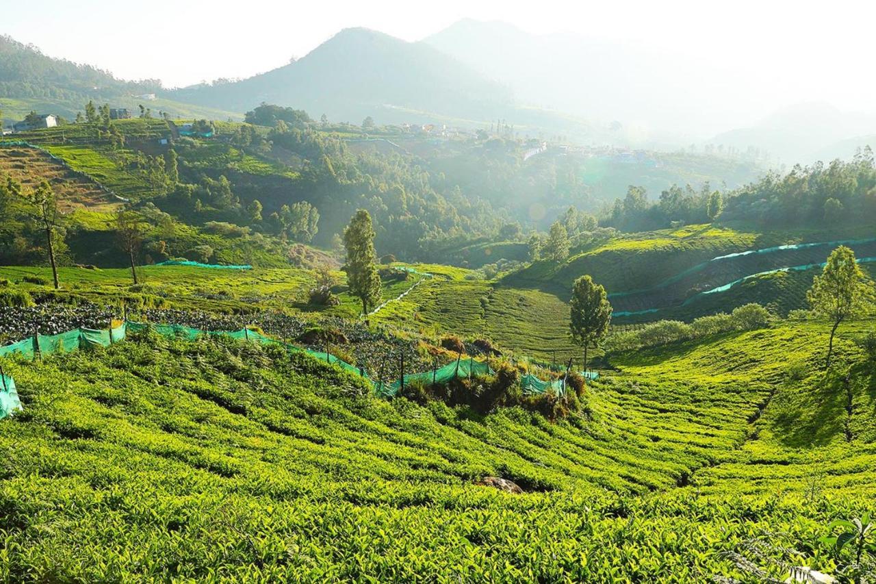 Logan Camp Ooty Hotel Кунур Екстериор снимка